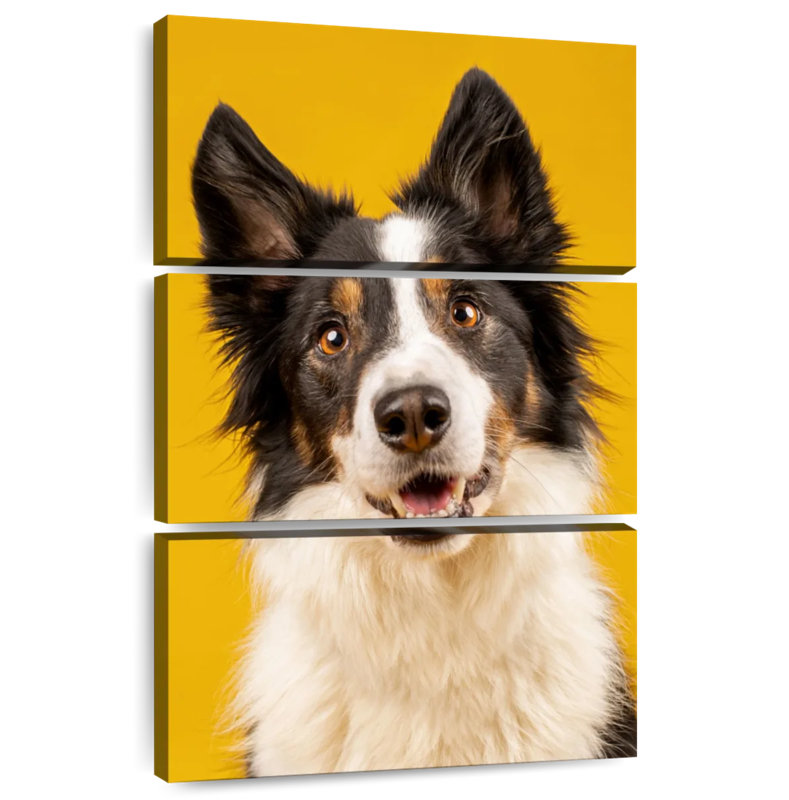 Brampt Adorable Border Collie, 32" H x 20" W
