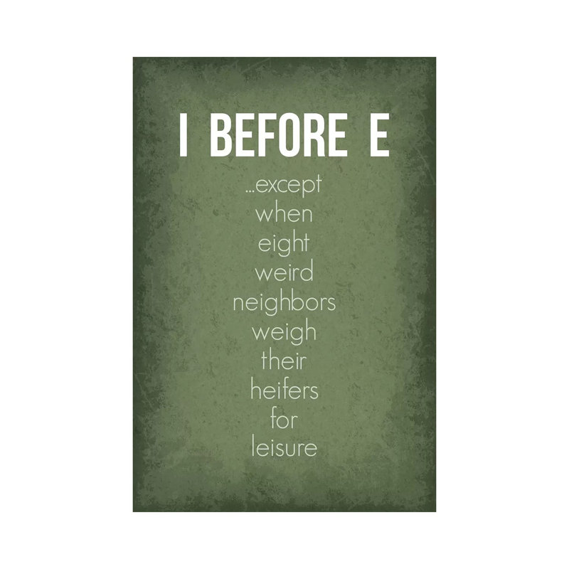 «Funny I Before E Exception», reproduction d'art textuel, H 60 po x l 40po x P 1,5 po, Toile tendue, Pas de tapis