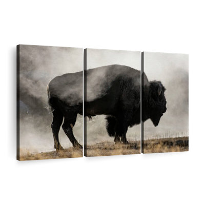 " Geyser Basin " 3 - Pieces