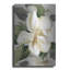 Magnolia Blossoms II par House Fenway-137870303