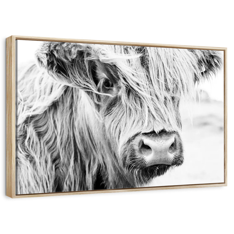 Vache à poils longs, Cadre flottant en bois naturel, 37 po x 25 po
