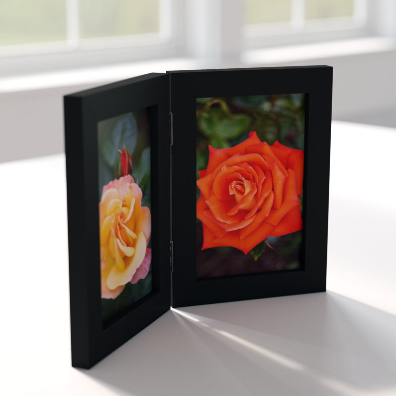 Jeremya Black Picture Frame with Mat