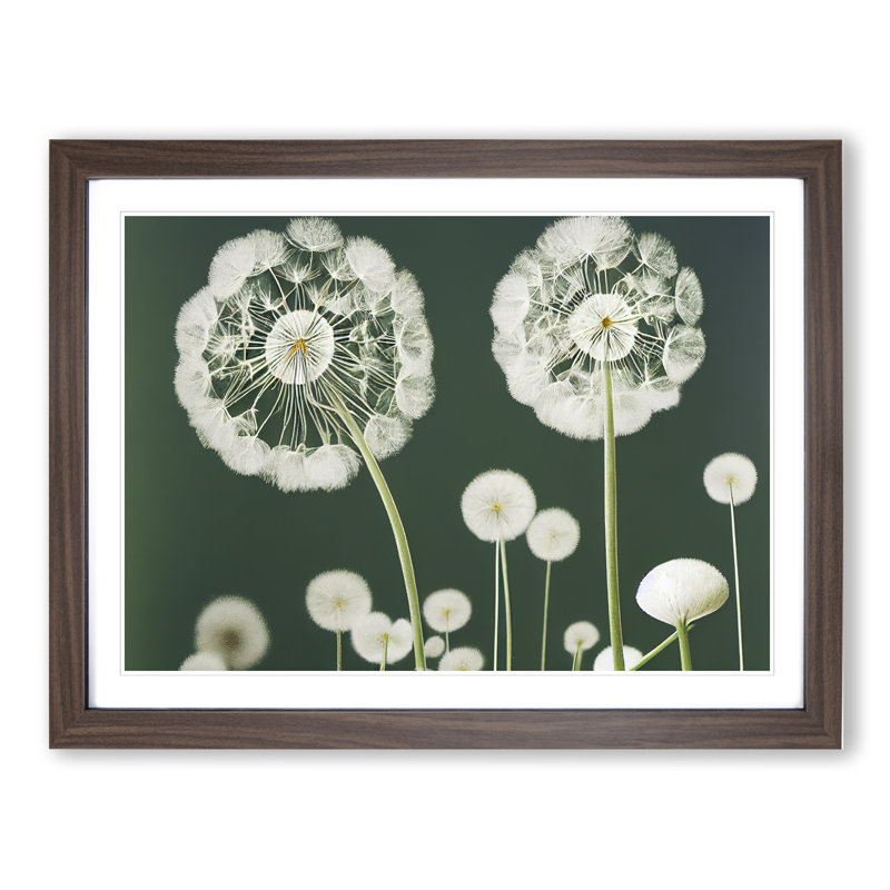 Charming Dandelion Flowers - Framed Print, 46cm H x 64cm W x 2cm D, Walnut