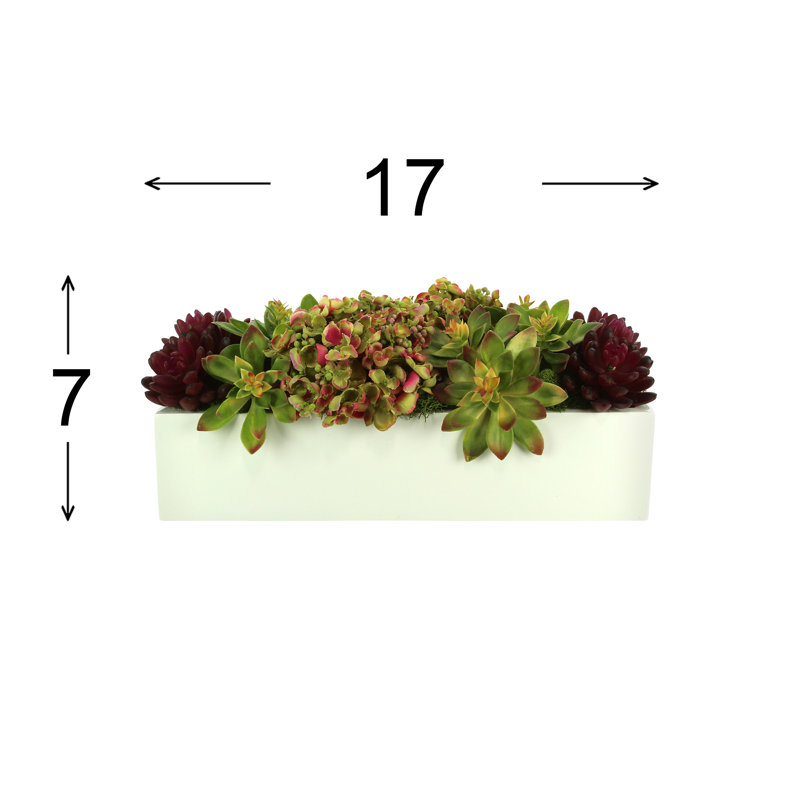 Hydrangea, Sedum And Succulents In Planter
