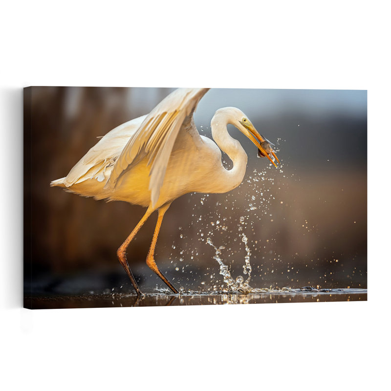 Egret Catches Fish Serene Contemporary Bird Fish Nature Wildlife Wall Art Print 1 Piece Wrapped Canvas Wall Art