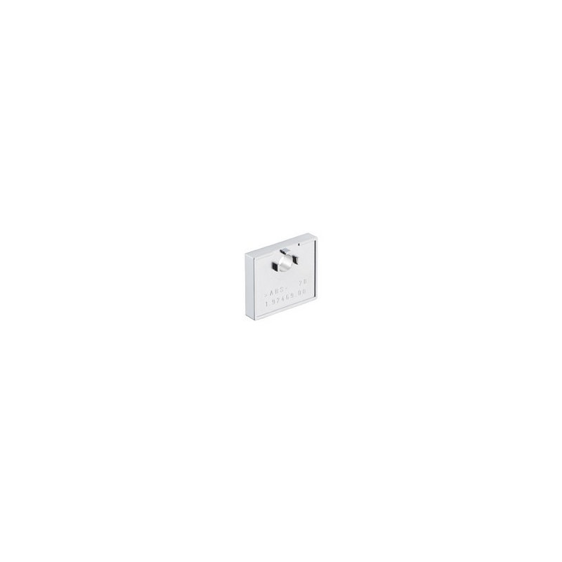 Raindance Tile Matching Disk, Chrome