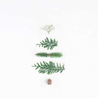 Christmas Tree - Wrapped Canvas Print