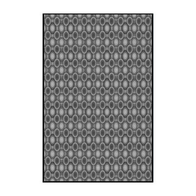 Indoor Rug
