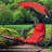 Outdoor 2" Hanging Lounger Replacement Cushion and Umbrella Set - Red-592462306
