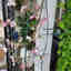 Photos des clients 1 de 1