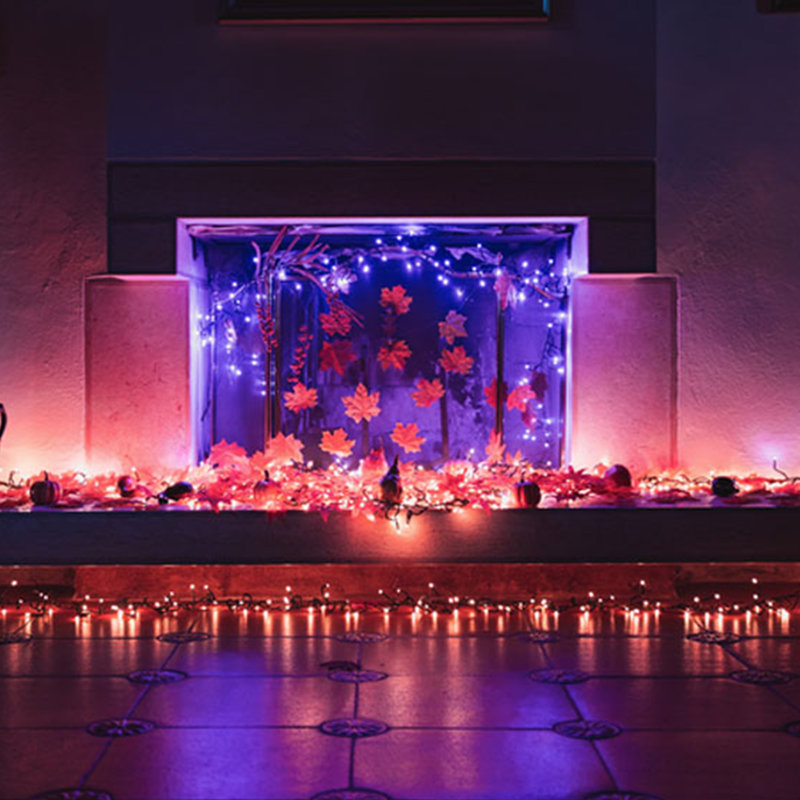 Guirlande lumineuse d'intérieur / d'extérieur multicolore 26,2 pi Twinkly Smart Decorations