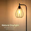 Aloysuis 156cm Task Floor Lamp