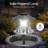 Bird Bath-1353438703