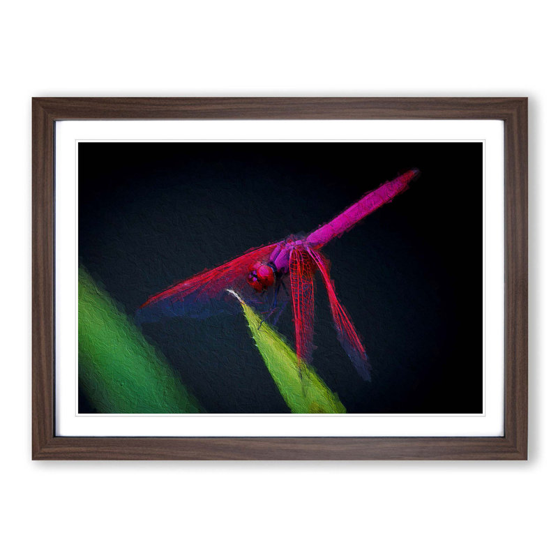 Dragonfly - Picture Frame Painting Print, Walnut Framed, 48cm H x 65cm W x 2cm D