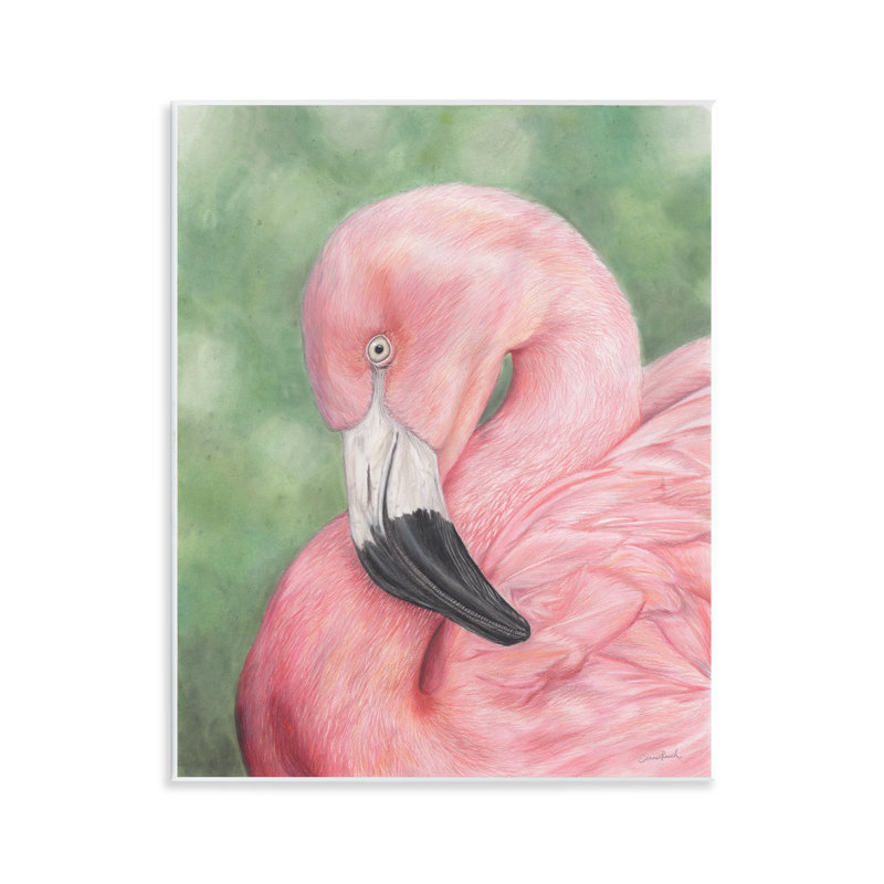 «Blush Flamingo Visage» par Connie Resch