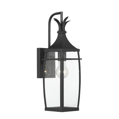 Montpelier 1-Light Emie in Matte Black