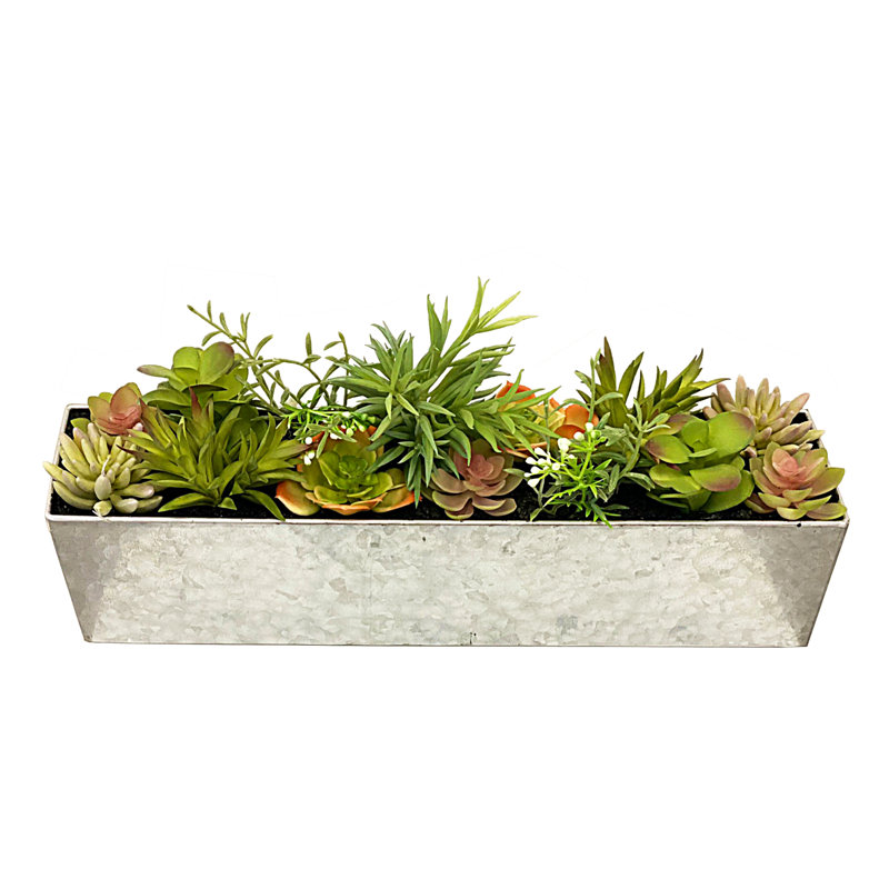 Plante grasse artificielle 4 po en pot