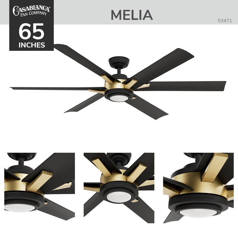 Casablanca 65 inch Melia ENERGY STAR®  Damp Rated Ceiling Fan with Lights and Wall Control, Black/Gold