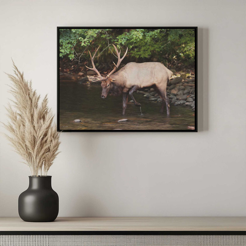 «Cherokee Elk II» par Lori Deiter, reproduction d'art, Toile avec cadre, Doré, L 16 po x H 12 po