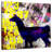 Brampt Painted Llama Grunge