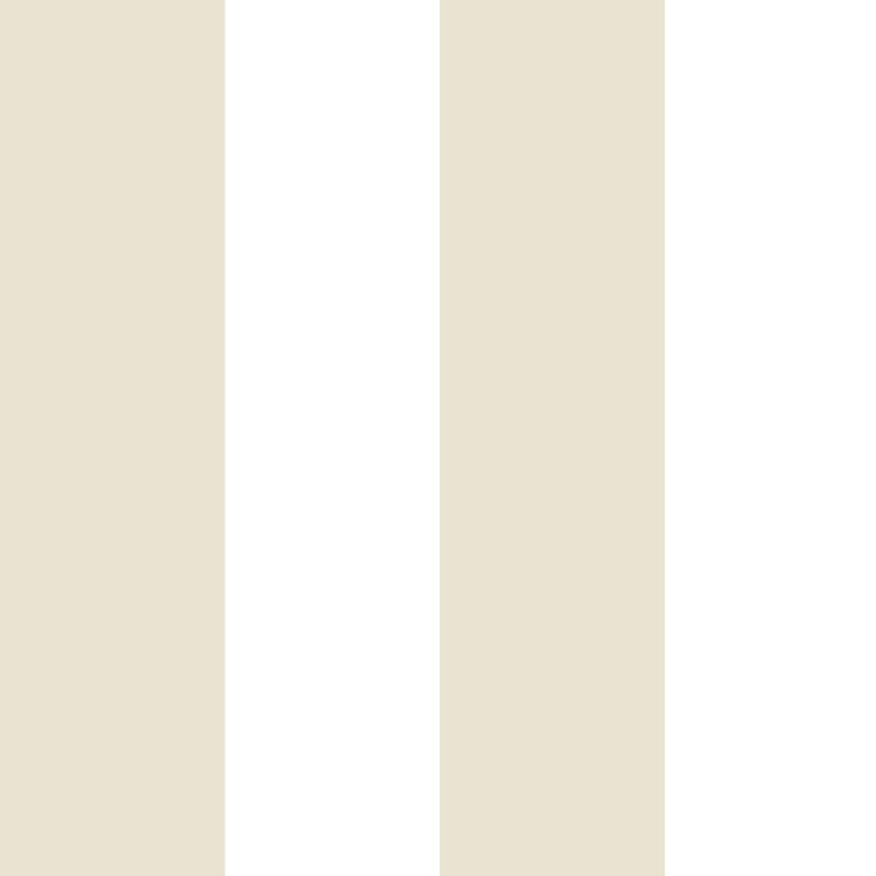 Nerijus Little Explorers 2 Wide Stripe Wallpaper Roll, Cream