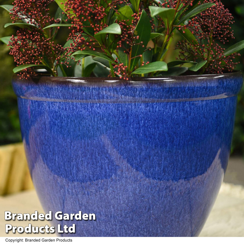 Petref Pot Planter, Ocean Blue