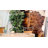 Cowhide Indoor Rug-17657762