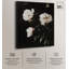 Peony Nocturne sur toile, fleurs élégantes et foncées par Art Remedy-115024767-115024775