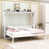 Blanc / Brun