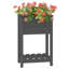 Aalap Wood Raised Garden Bed-1019041432-1019041434