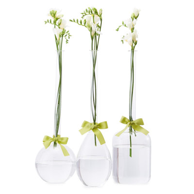 Vase Trio Set of 3 With Teardrop Round and Jug Shapes 18" H With Sage Green Ribbon Sleek And Chic