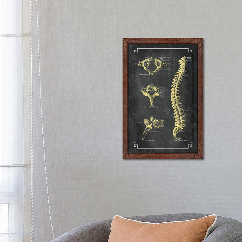 Bones Of The Spine by ChartSmartDecor - Print on Canvas, 66.04 cm H x 45.72 cm W, Brown Framed