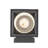 Shaakar Iron Wall Light-2056481803