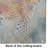 Cheetah Glass Cutting Board Large