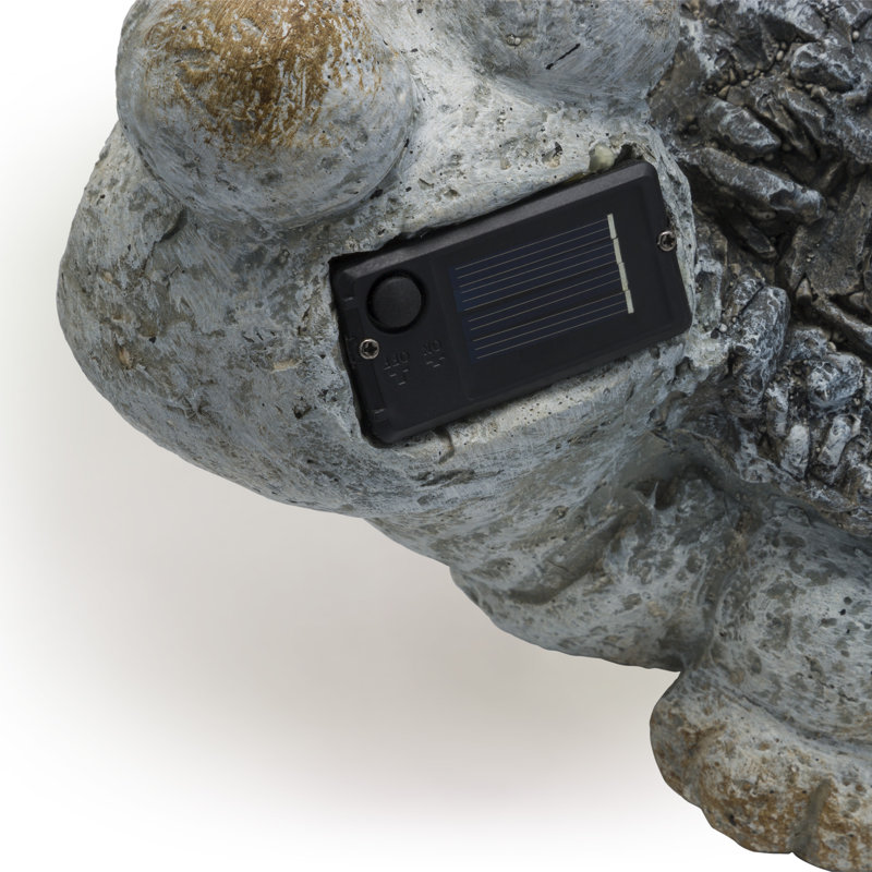 Statue de tortue solaire Balboa