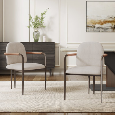 Denver Modern Dining Chairs With Iron Frame by Latitude Run