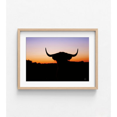 Bull Photography Print, Bull Head Wall Hanging, Large Bull Art, Western Wall Decor, Cow Wall Art, Wall Art,Oversized Wall Art