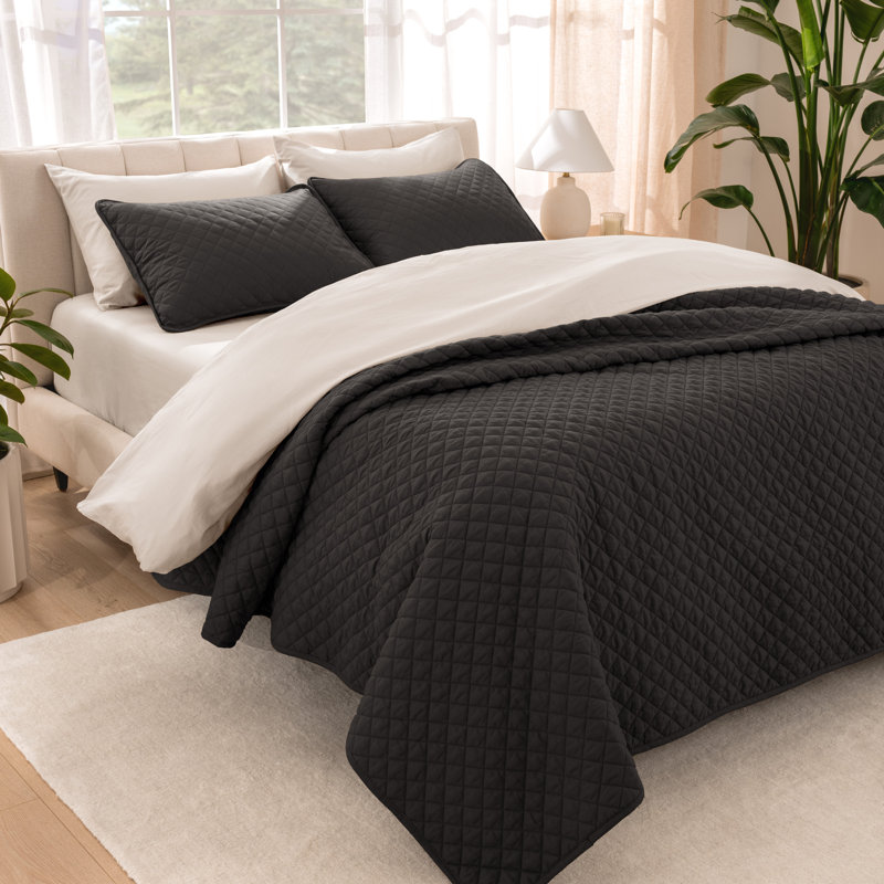 Ensemble de couvre-lit moderne et contemporain en microfibre 3 pièces , Couvre-lit double/grand et 2 taies décoratives st