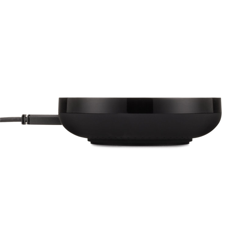 Ceiling Fan Smart