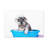 Cute Schnauzer Bath Canvas Wall Art-1210609286