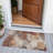 Machine Washable Indoor/Outdoor Xhevrie Paprika Rug-111925078