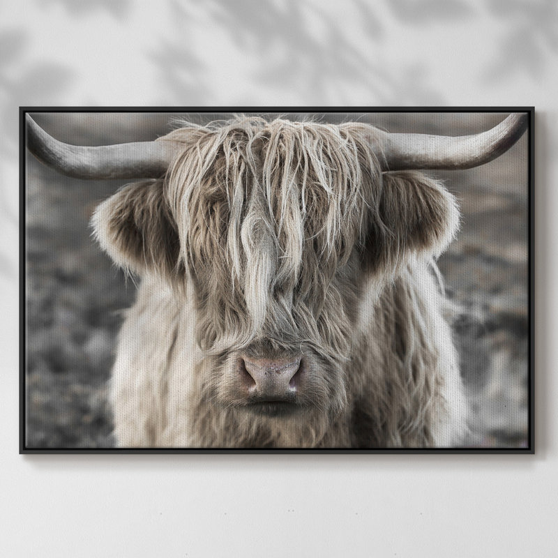 Highland Skye, reproduction d'art sur toile, H 17 po x l 25 po x P 2 po, Cadre noir
