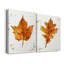 «Autumn Leaf Study I», toile tendue avec châssis de qualité supérieure - prête à être accrochée-1052592101