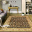 Oriental Area Rug in Black
