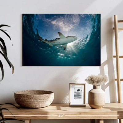 Brampt Lemon Shark In The Water