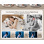 Oreiller ergonomique en mousse à mémoire de forme à 9 trous pour le soulagement de la douleur cervicale, oreiller papillon large pour les dormeurs latéraux et dorsaux, oreiller orthopédique respirant