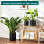 FLHPOT Ceramic Pot Planter