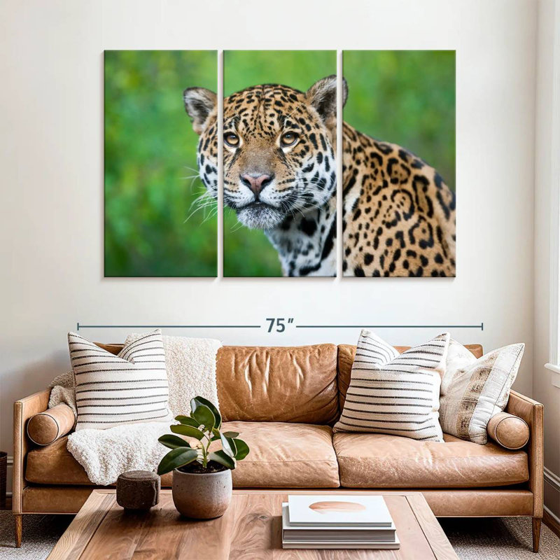 Jaguar Gaze