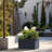 Lapria Handmade Planter Box-1647813145-1614452667