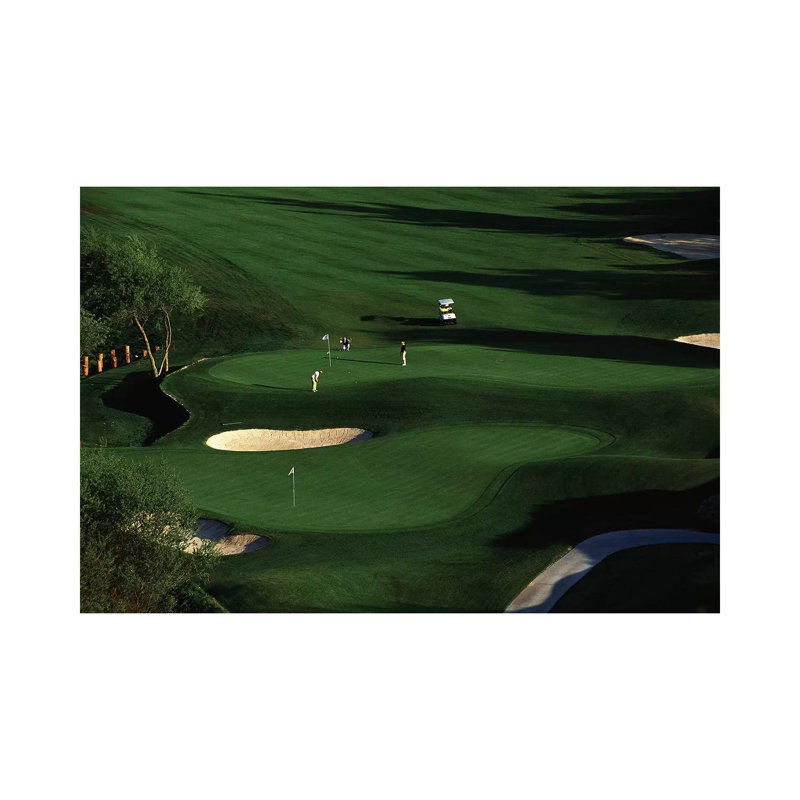 Golfer Putting On The Green by Panoramic Images - Wrapped Canvas Print, 20.32 cm H x 30.48 cm W